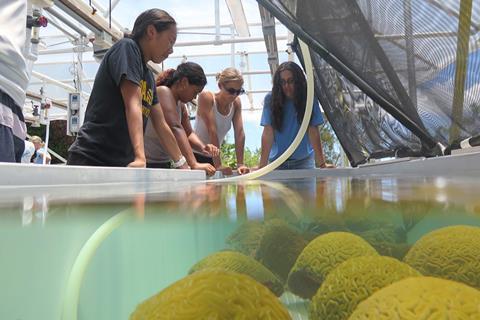 Intern-group-coral-tank-02