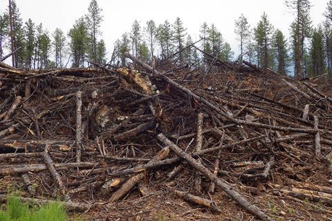 Wood_Waste