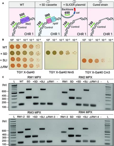 Low-Res_bdr.0009.fig.003.jpg