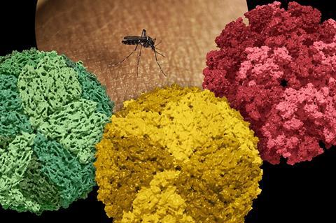 An <i>Aedes</i> Mosquito and Dengue, Zika and Chikungunya viruses