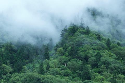 pexels-echoe-z-1049543472-27769296