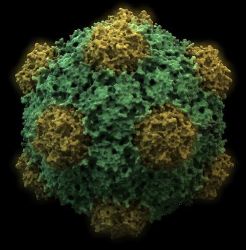 590px-CowpeaMosaicVirus3D