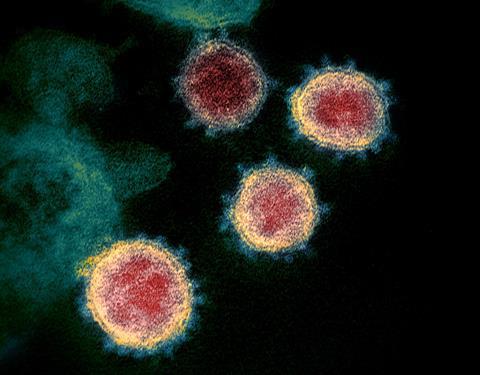 Novel_Coronavirus_SARS-CoV-2 (1)