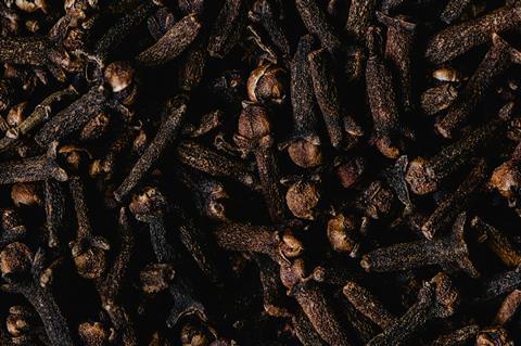 pexels-eva-bronzini-6087276