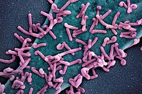 Marburg_virus_outbreak