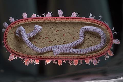Human_Respiratory_Syncytial_Virus_(RSV)_(52501736052)