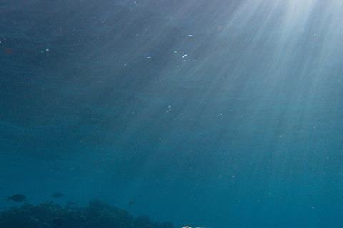 pexels-francesco-ungaro-13172688