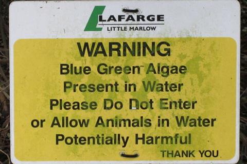 Blue_green_algae_warning_sign,_Spade_Oak_lake_-_geograph.org.uk_-_3084819