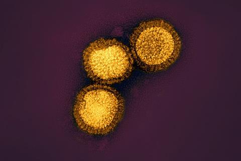 HepatitisB