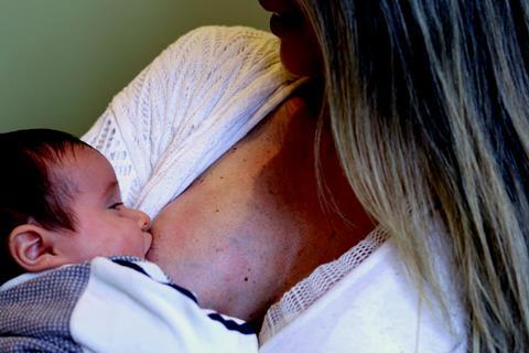 luiza-braun-WqsRIXgxmUA-unsplash