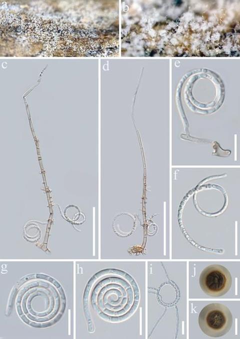 Low-Res_oo_1523232 (2)