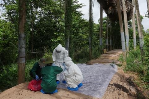 Low-Res_PREDICT staff collect bat feces in bat farm in Dong Thap province.JPG