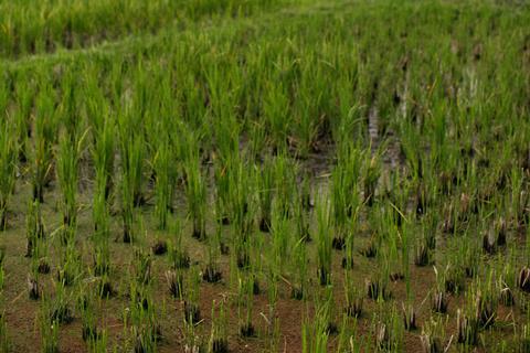 pexels-alexeydemidov-10658534