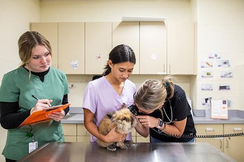 Vet_Assisting_Students