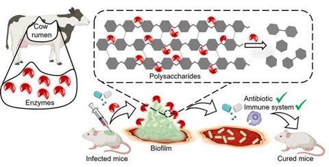 Low-Res_Biofilms_PR1