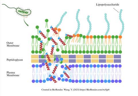 GRAPHICAL ABSTRACT