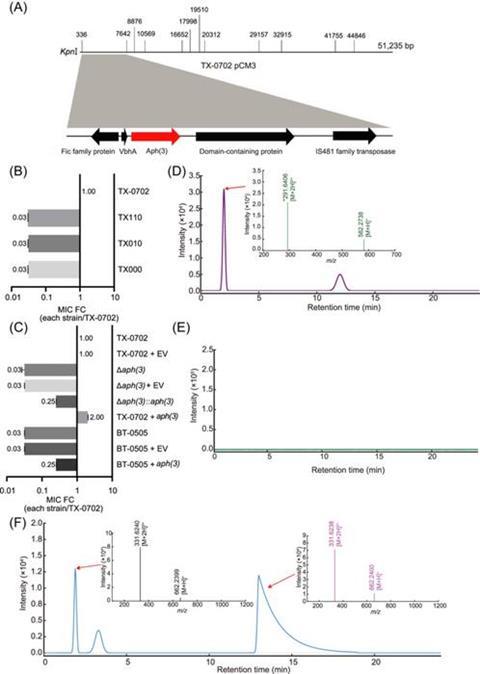 Low-Res_mlf270091-fig-0001-m