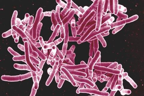 Mycobacterium_tuberculosis_Bacteria,_the_Cause_of_TB_(5149398656)