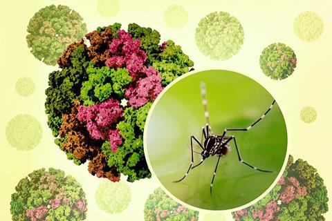 3D_renderings_of_and_Chikungunya_Virus_Capsids_and_an_Aedes_mosquito_photo_-_2