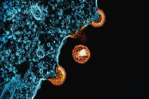 national-institute-of-allergy-and-infectious-diseases-Jr3FJg1krfk-unsplash