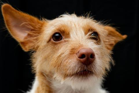 pexels-larry-penaloza-311813562-13776239