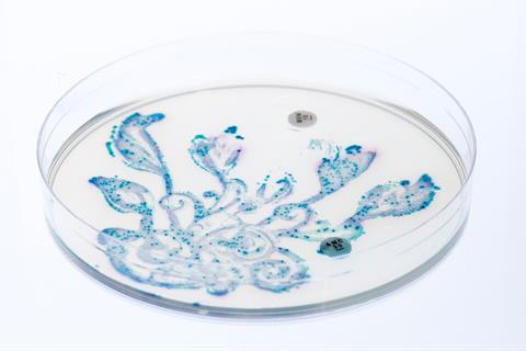 Wild_garden_of_the_gut_bacteria_6