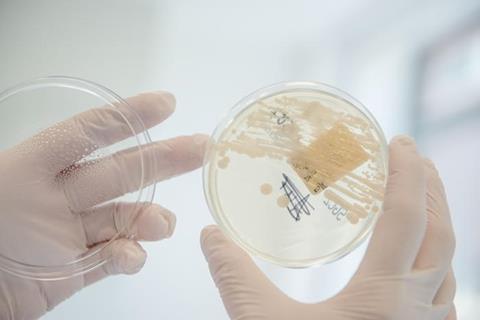 Low-Res_Neuropsychologie_Extinktionslernen_KM-299_AuswahlStoll