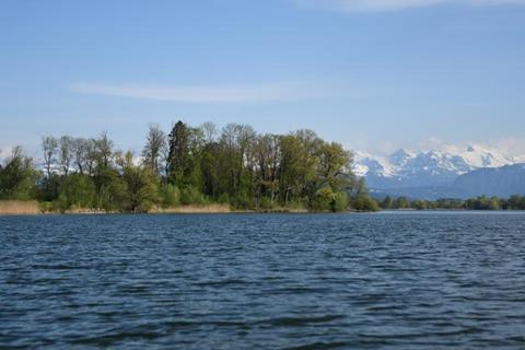 Low-Res_Baldeggersee_c_Pro Natura Luzern (1)