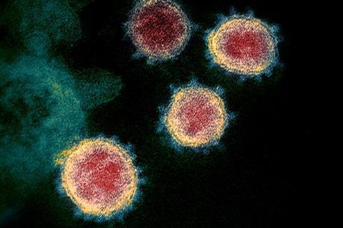 Novel_Coronavirus_SARS-CoV-2