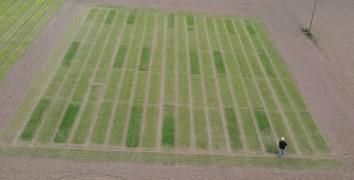 microalgae-trial-2