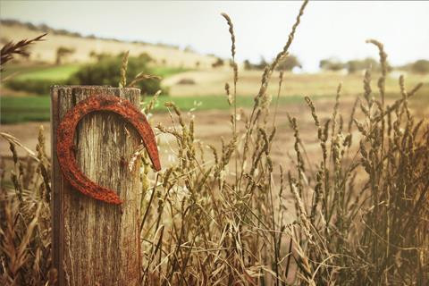 horseshoe-504821_1920