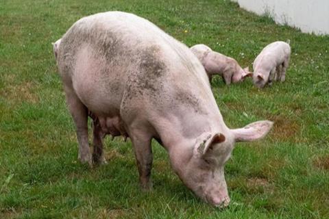 Low-Res_5162-0695_BNicolas