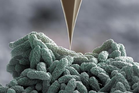 Nano-speargun of <i>Pseudomonas</i>