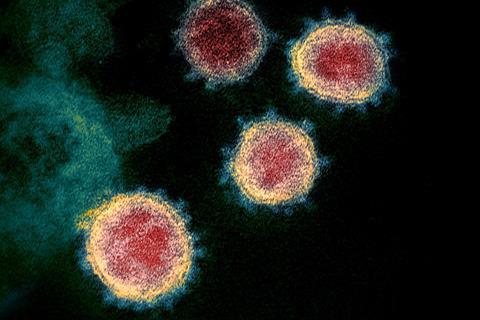 Novel_Coronavirus_SARS-CoV-2