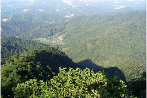 王子山森林公园_-_panoramio
