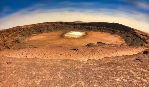 1000169881
