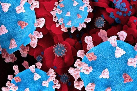 Novel_Coronavirus_SARS-CoV-2_(52329225431)