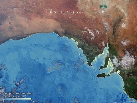 Algae_bloom_chlorophyll_South_Australia_ESA512113