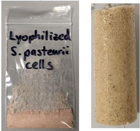 Low-Res_030525Biocement