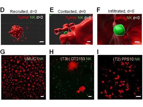 Low-Res_250566-psnbody2-pak-kin-wong-nature-paper