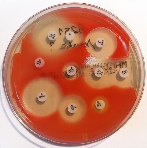 Serratia_marcescens_-_antibiogram