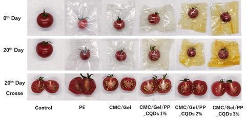 Low-Res_Fig.1