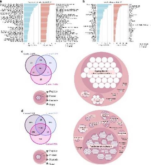 Low-Res_1 (1)