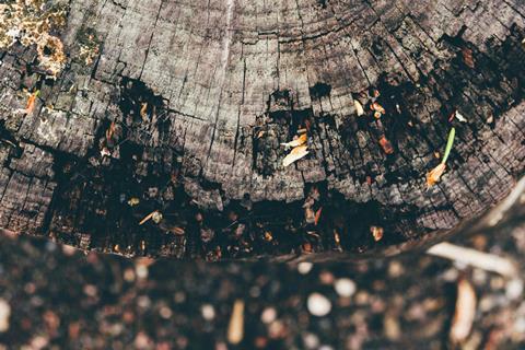 pexels-blackeditors-33843982