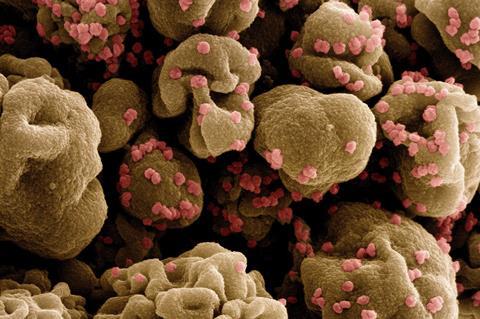 Novel_Coronavirus_SARS-CoV-2_-_53828235001