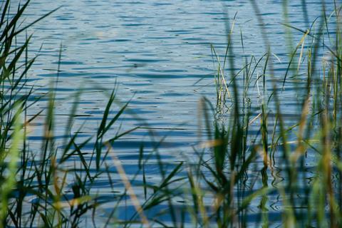 pexels-cileklipalet-34507881