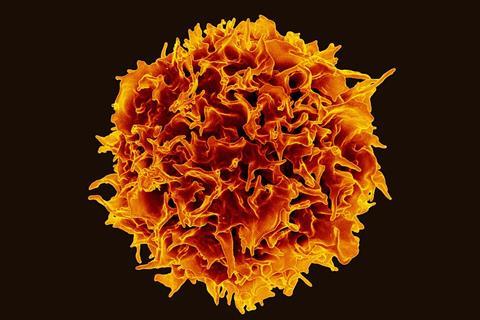 T_Lymphocyte