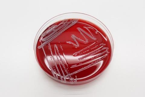 Low-Res_staphylococcus borealis_2000px