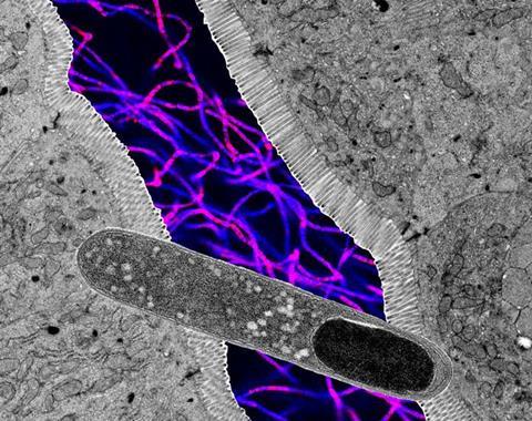 Low-Res_KKT8 image_1