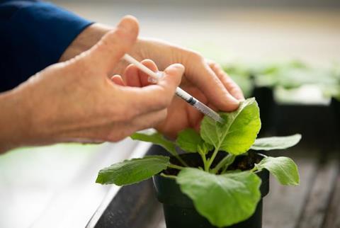 Low-Res_2022-06-16 Plant paper 009